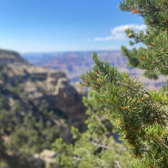 Meet your Posher, Astrid - Picture 2 of 3